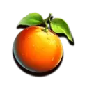 icon 5