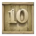 icon 10
