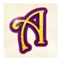 icon 5