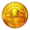 icon 10