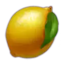 icon 5