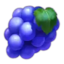 icon 4