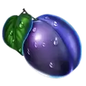icon 6