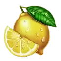 icon 7