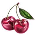 icon 9