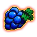 icon 5