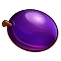 icon 5
