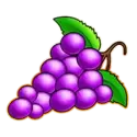 icon 4