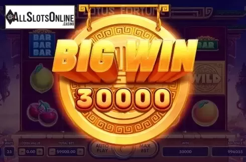 Big Win. Lotus Fortune from NetGame