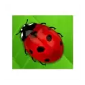 icon 3