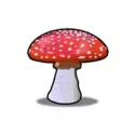 icon 4