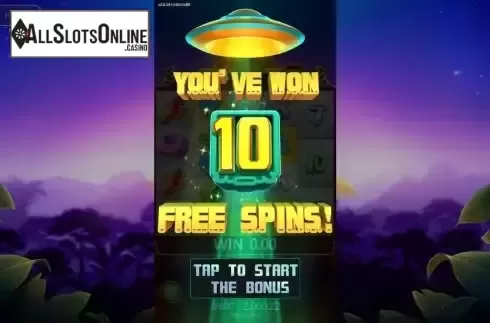 Win FS screen