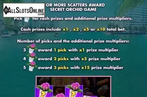 Secret orchid game screen