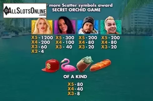 Paytable screen