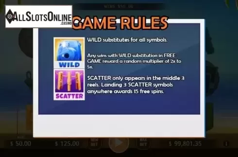 Wild and Scatter Feature