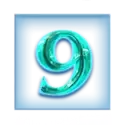 icon 10