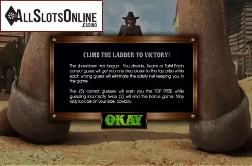 Bonus game. True Sheriff from Betsoft