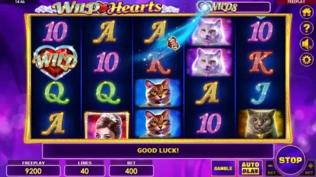 Wild Hearts slot screenshot 2
