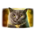 icon 4