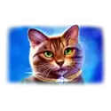 icon 3