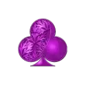 icon 12