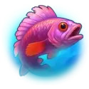 icon 2