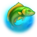 icon 4