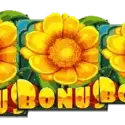 Bonus Buy Free Spins Feature