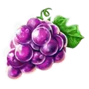 icon 4