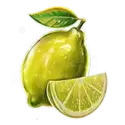 icon 6