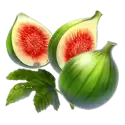 icon 10