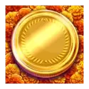 icon 11