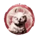 icon 4