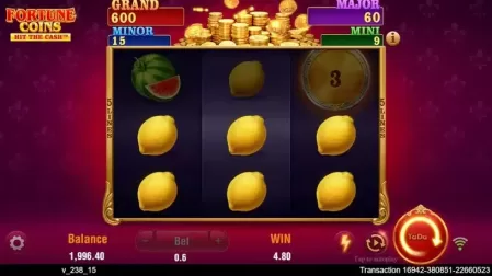 Fortune Coins slot screenshot 2