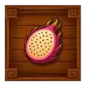 icon 5