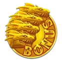 icon 13