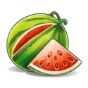 icon 2