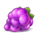 icon 4