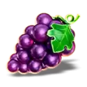 icon 4