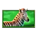 icon 4