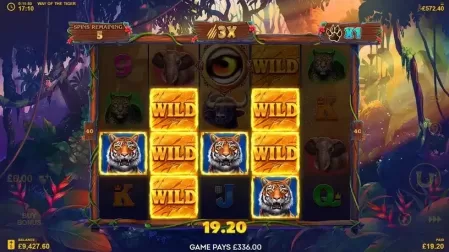 Way Of The Tiger slot screenshot 6