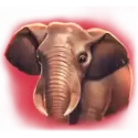 icon 2