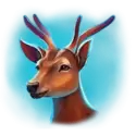 icon 5