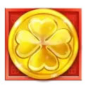 icon 12